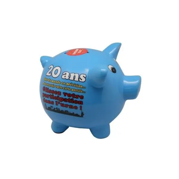 Tirelire Cochon Anniversaire - 20 Ans