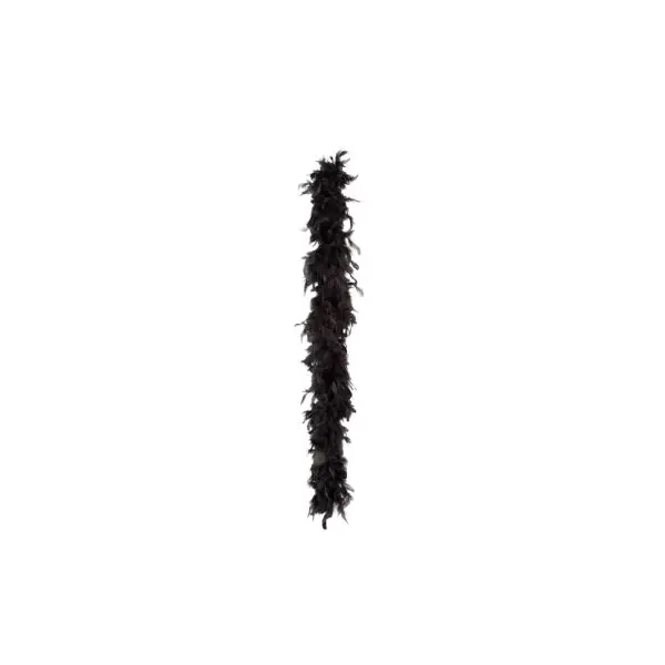 Boa Plumes Noir