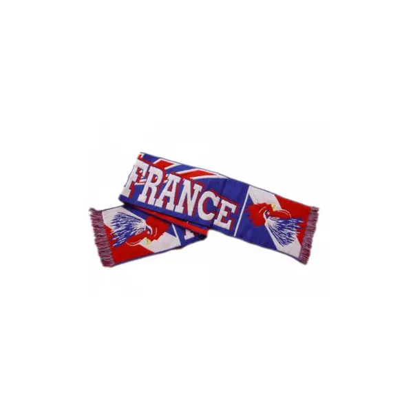 Bandeau Tricolore de Supporter Cheveux Bleus - France
