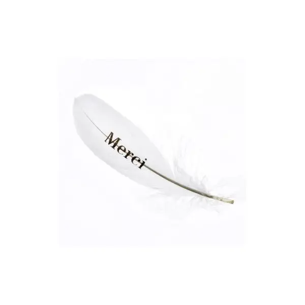 6 Plumes Merci - Or