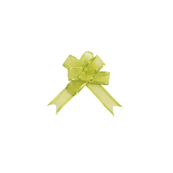 Rosace en Papier Vert à Suspendre - 30 cm