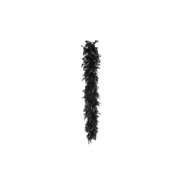 Boa Plumes Noir et Argent
