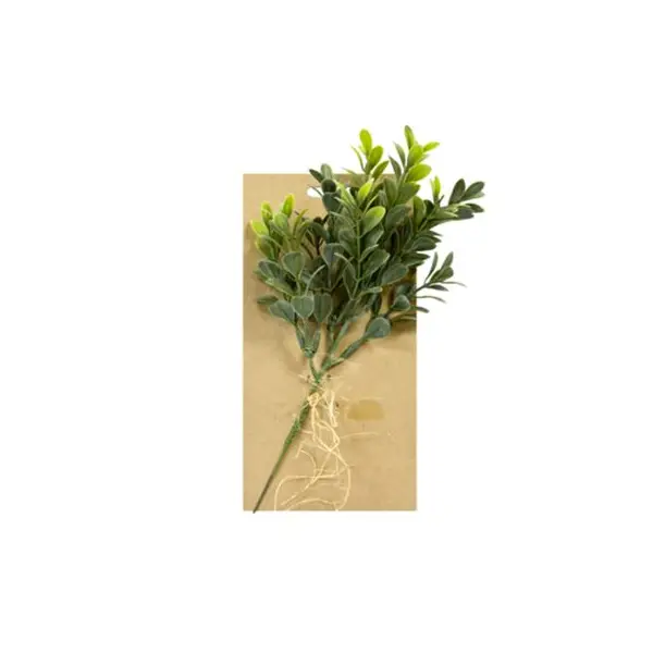 Tige de Buis sur carte - Vert
