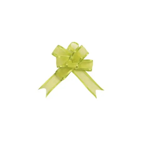 5 Nœuds Automatiques Organdi Petit Modèle - Vert