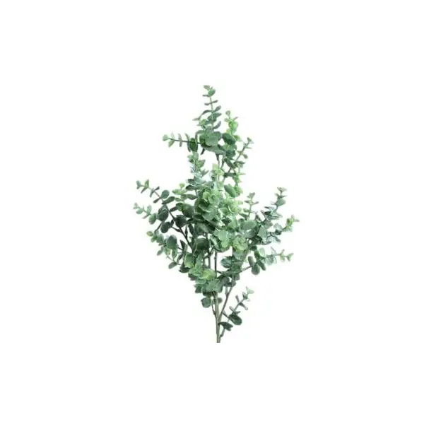Tige d' Eucalyptus 70 cm
