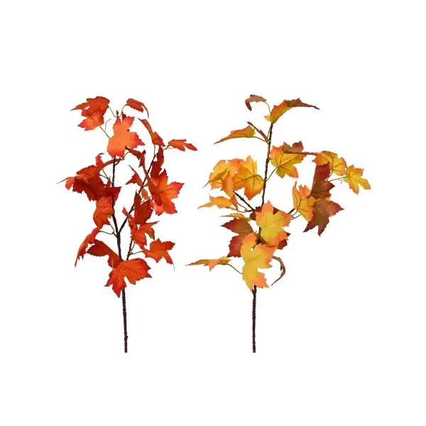Assortiment de 2 branches d'érable