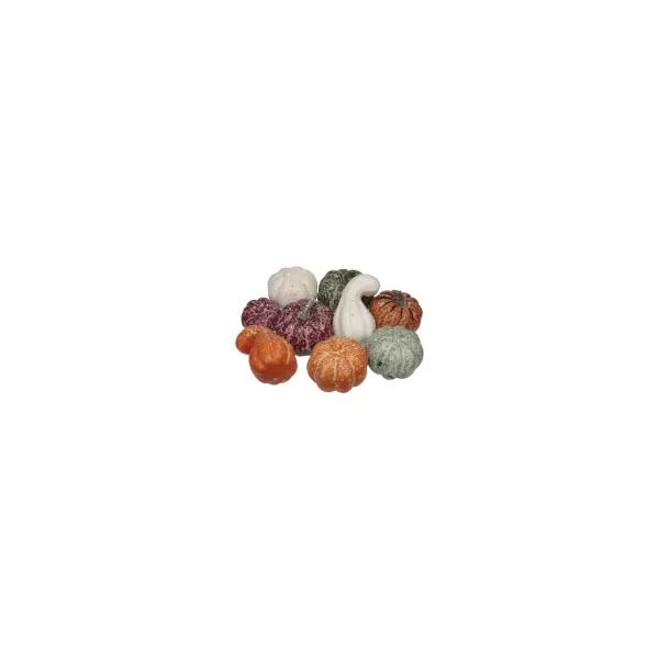 9 Citrouilles décoratives