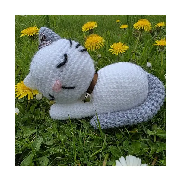 Chaton endormi
