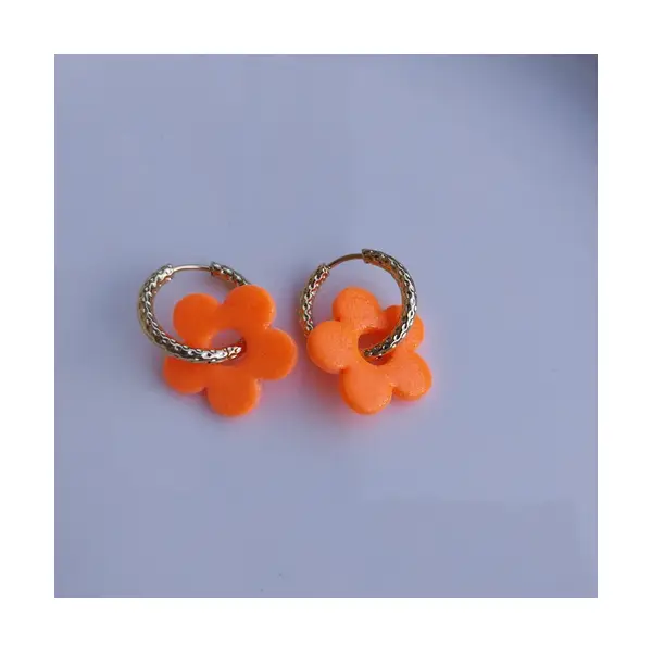 Boucle d'oreille interchangeable