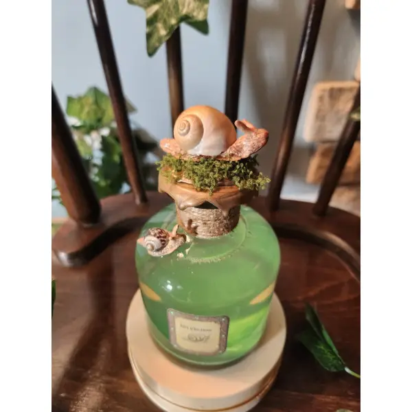Potion bave d'escargot