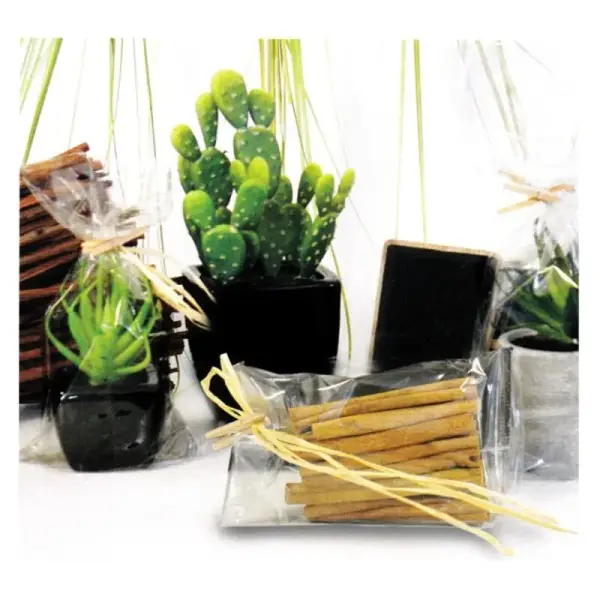 Sachets plats polypropylène - 110 x 220 mm (x100)