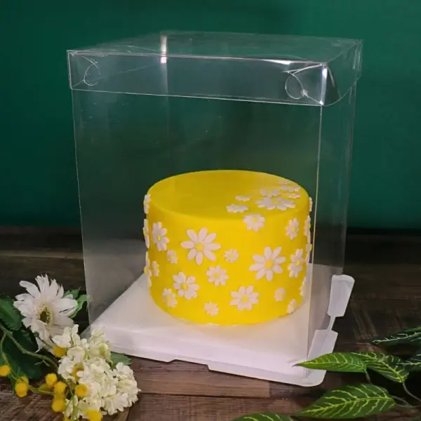 Boîte à gâteau carrée vitrine transparente haute