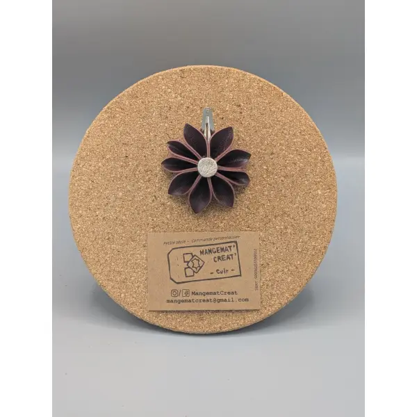 Barrettes à cheveux
