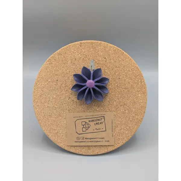 Barrettes à cheveux