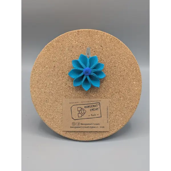 Barrettes à cheveux
