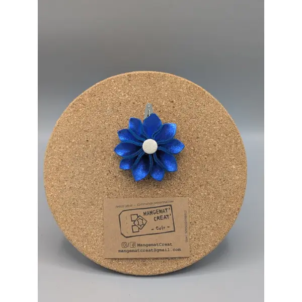 Barrettes à cheveux
